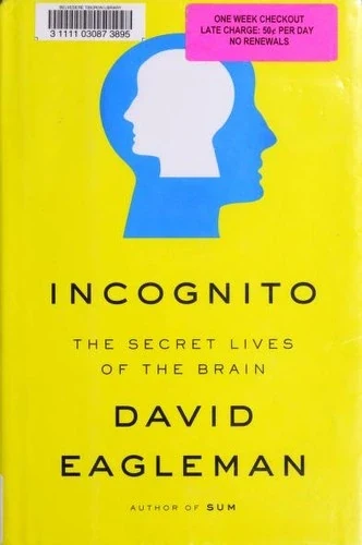 Capa de Incognito