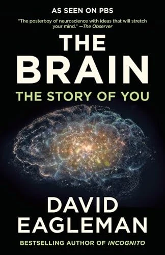Capa de The Brain: The Story of You